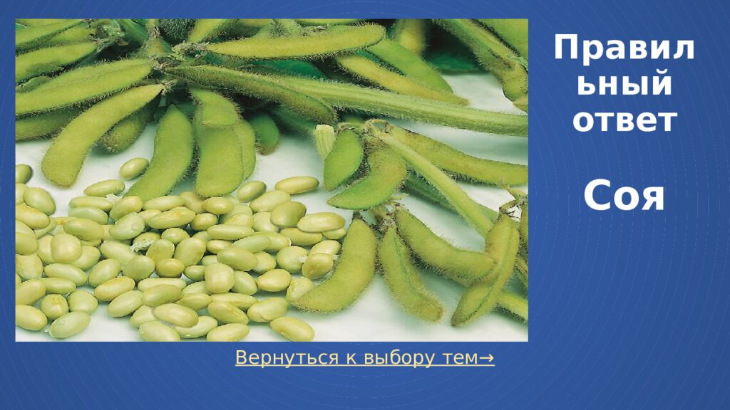 Правильный ответ Соя