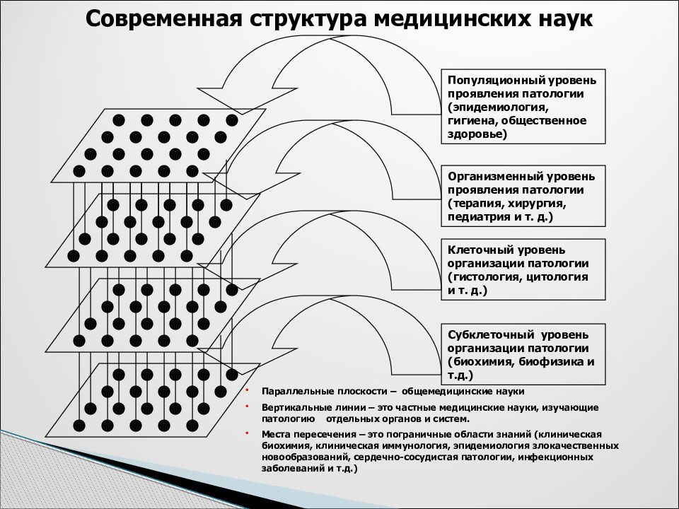 Структура жизни. Популяционный уровень в эпидемиологии. Популяционный уровень проявления патологии. Организменный и популяционный уровень эпидемиология. Структура современной эпидемиологии.