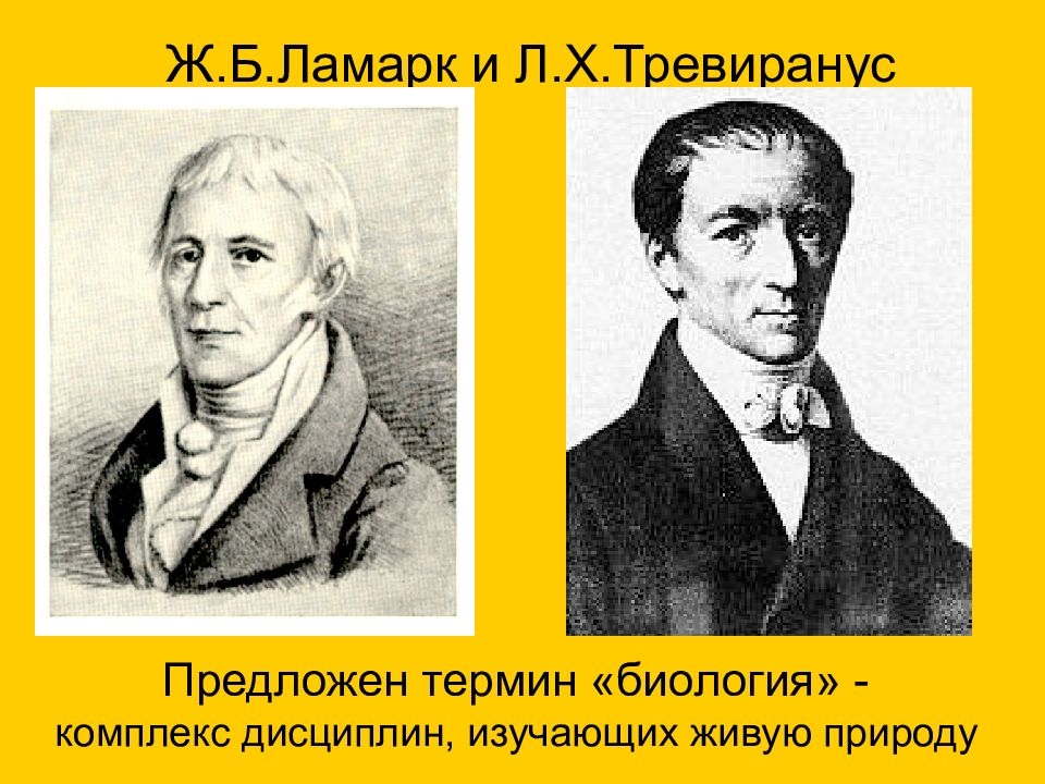 Тревиранус. Готфрид Тревиранус. Ламарк и Тревиранус. Тревиранус вклад в биологию.