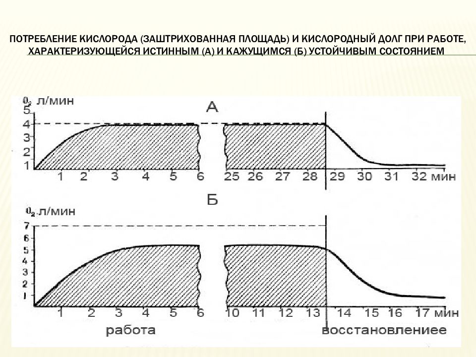 Биохимическое потребление кислорода. Кислородный запрос, максимальное его потребление и кислородный долг.. Истинное устойчивое состояние. Кислородный дефицит кислородный запрос кислородный долг. Устойчивое состояние физиология.