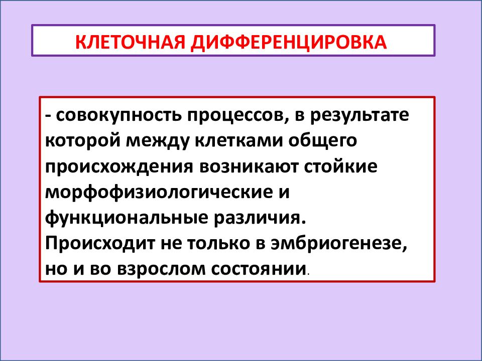 Дифференцировка клеток. Механизмы клеточной дифференцировки. Дифференцировка клеток механизмы дифференцировки. Механизм дифференцировки клеток в онтогенезе. Дифференцировка клеток молекулярные механизмы.