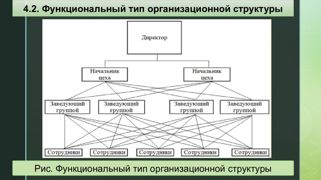 Функциональные разновидности 6 класс. Функциональный Тип организационной структуры. Функциональный вид. Функциональные типы менеджмента. Разновидности организационных моделей..