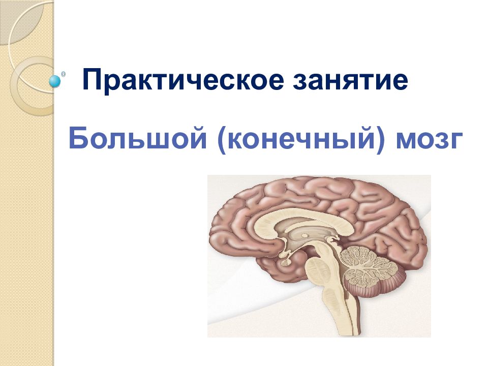 Практическое занятие