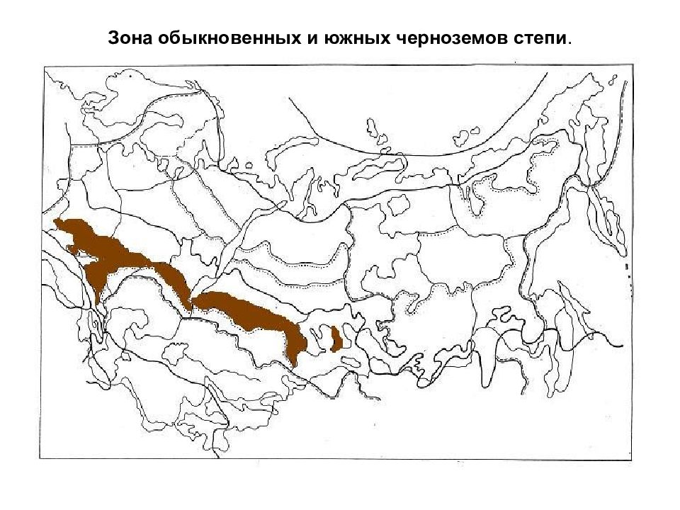 Нанесите на контурную карту лесостепную и степную. Карта почв природных зон России. Почвенная контурная карта России. Природные зоны Евразии степь на карте. Карта России с границами почв.