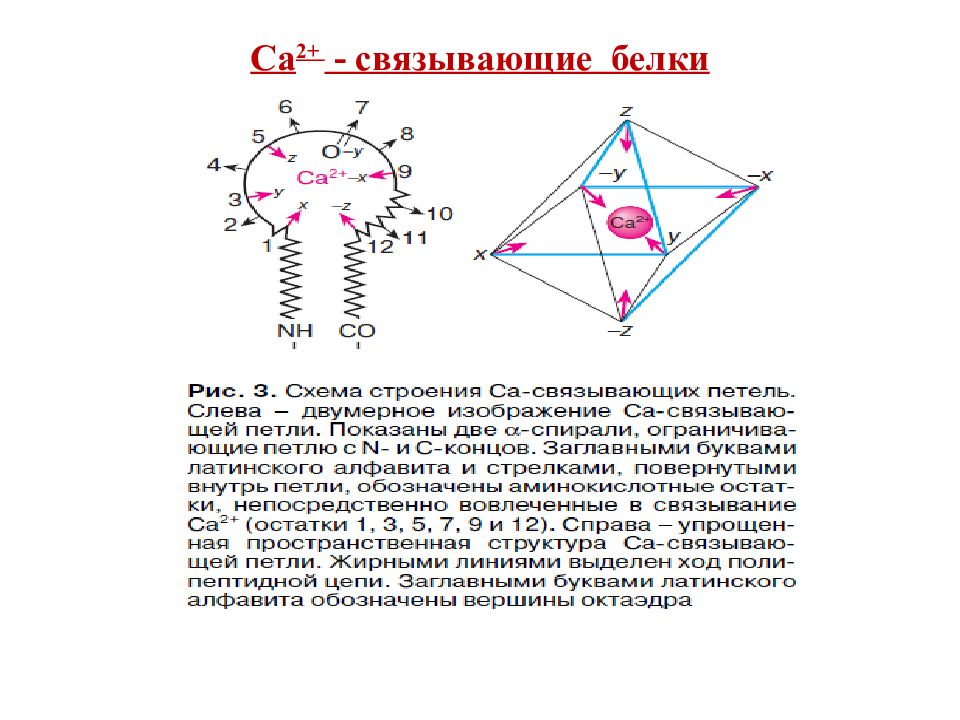 Как связаны строение