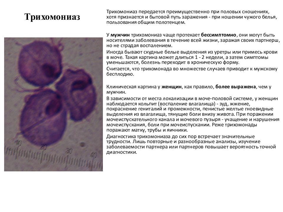 Симптомы трихомониаза. Трихомониаз локализация. Трихомониаз клиническая картина. Трихомониаз передается. Переносчик трихомониаза.