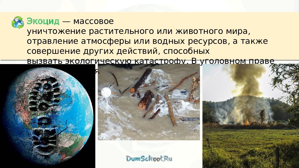 Экоцид это. Массовое уничтожение растительного или животного. Экологическая катастрофа. Презентация на тему экоцид.