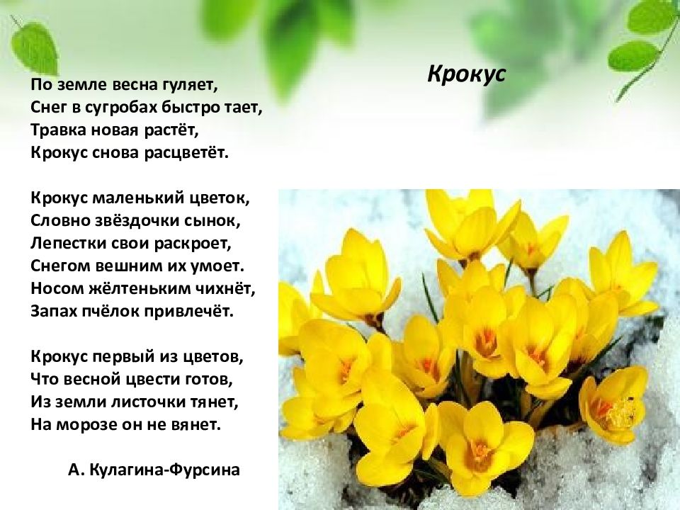 Стихотворение цвет весны. Стихи о цветах. Стихи о весенних цветах. Стихи о цветах для детей. Стихотворение о цветах для детей.