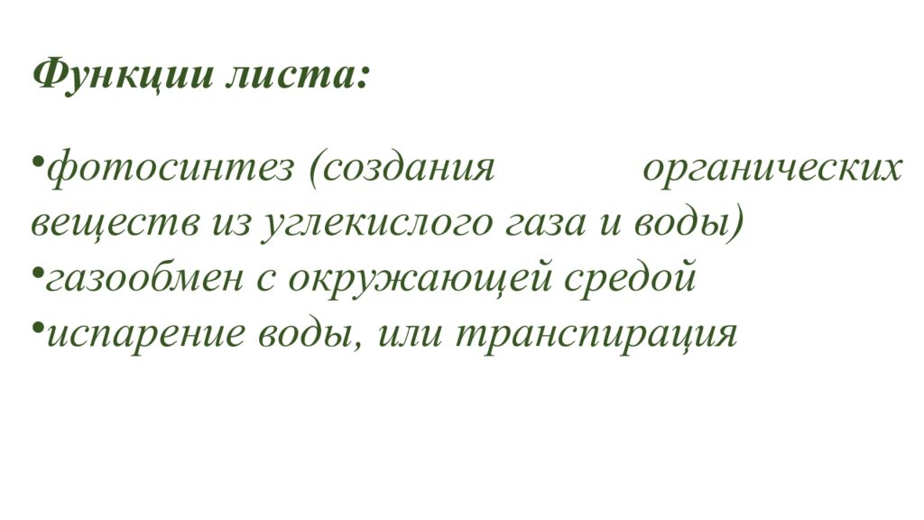 Особенности внешнего и внутреннего строения листа
