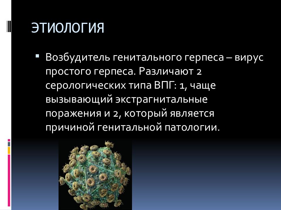 Вирус герпеса 1. Этиология вируса простого герпеса 2 типа. Вирус герпеса 1 типа этиология. Генитальный герпес возбудитель инфекции. Вирус простого герпеса 1 типа этиология.