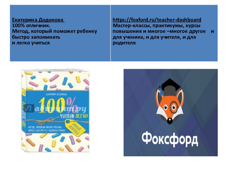 Фоксфорд обществознание