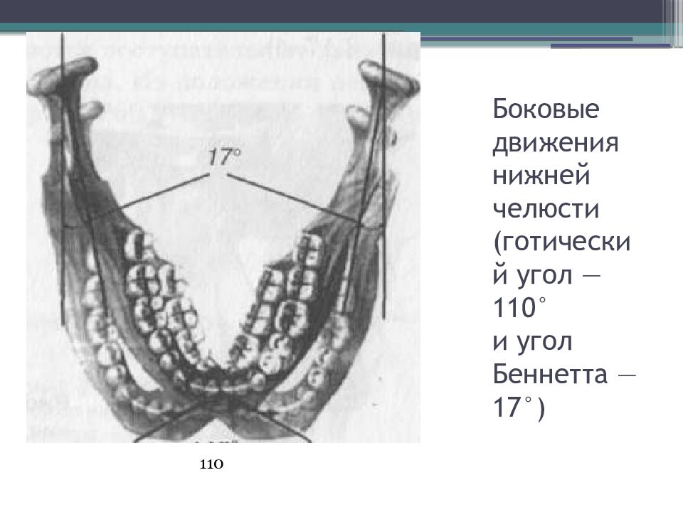 Биомеханика нижней челюсти презентация