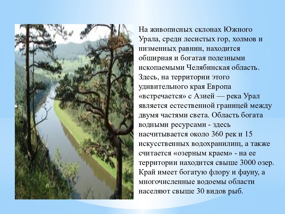 Презентация по окружающему миру 3 класс разнообразие природы родного края санкт петербург