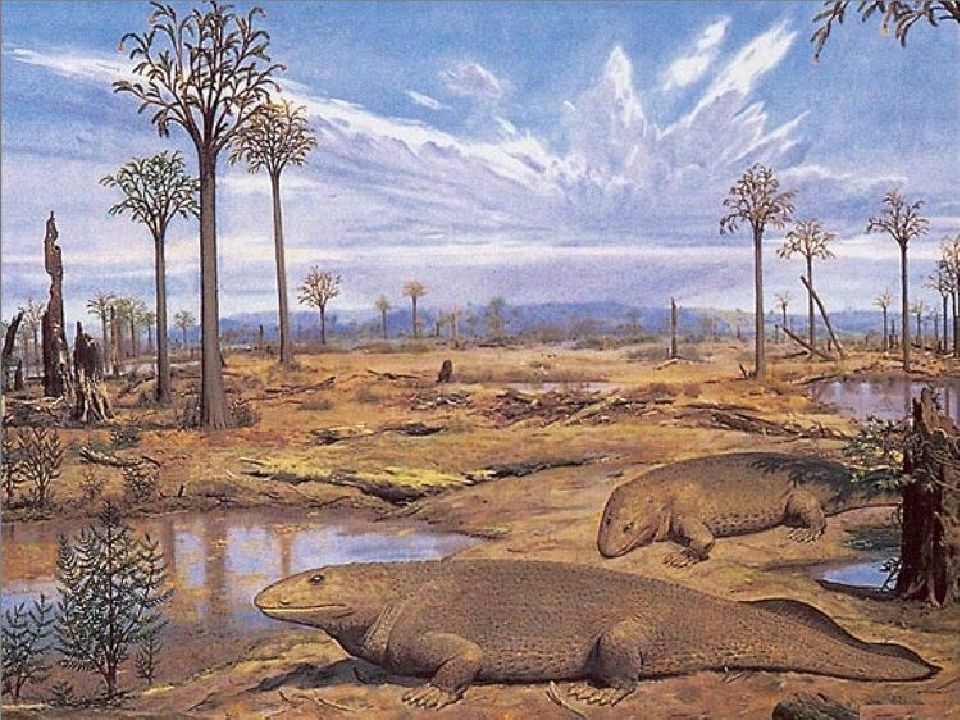 400 млн лет назад какая