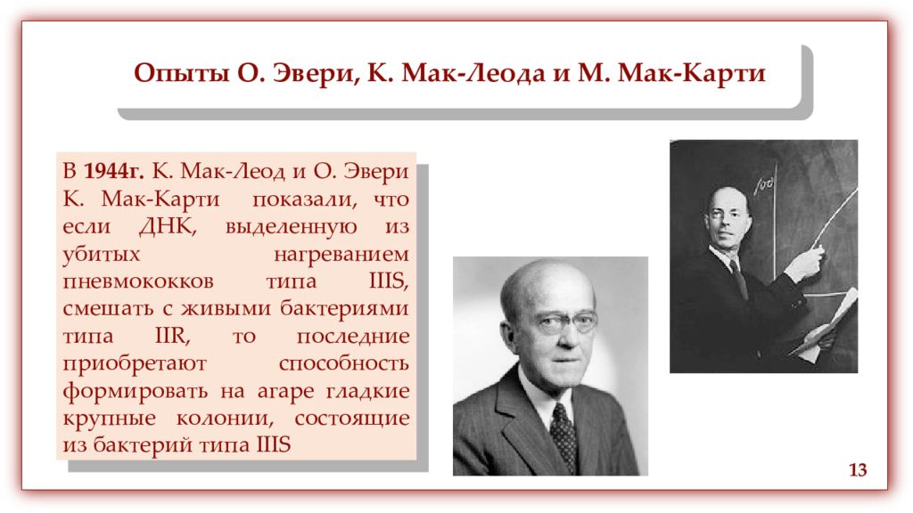 Генетика ставрополь. Опыт Эвери. Мак Леод Мак Карти. И.И Герасимов генетика. Эвери, Мак-Леод и Маккарти.