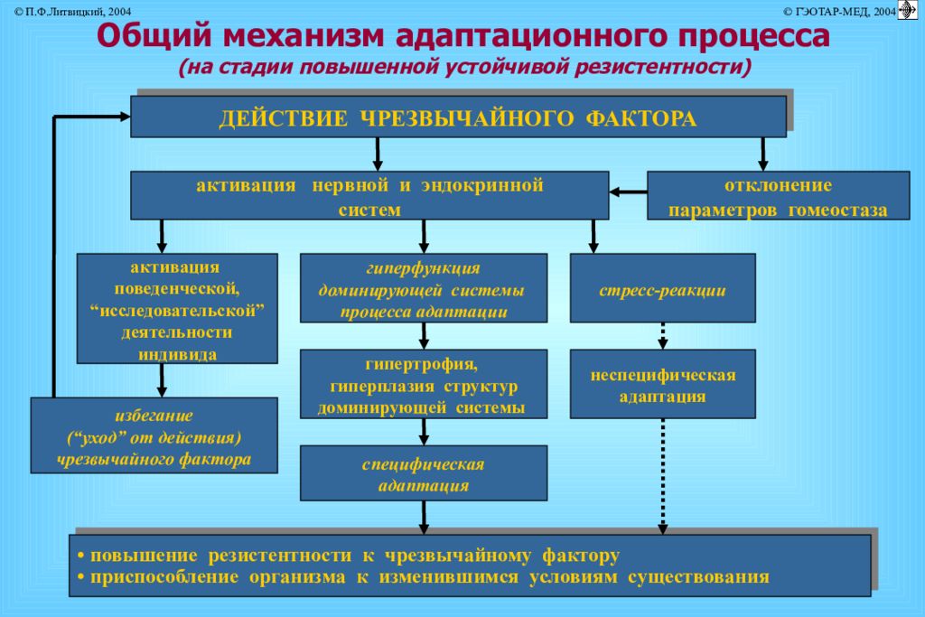 Организма в процессе разворачивания механизма общей адаптации. Общие механизмы адаптации. Синдром адаптации. Стадия резистентности общего адаптационного синдрома. Организма в процессе разворачивания механизма общей адаптации.