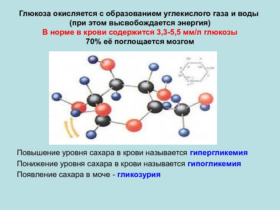 Образование углекислого. Углекислый ГАЗ Глюкоза.