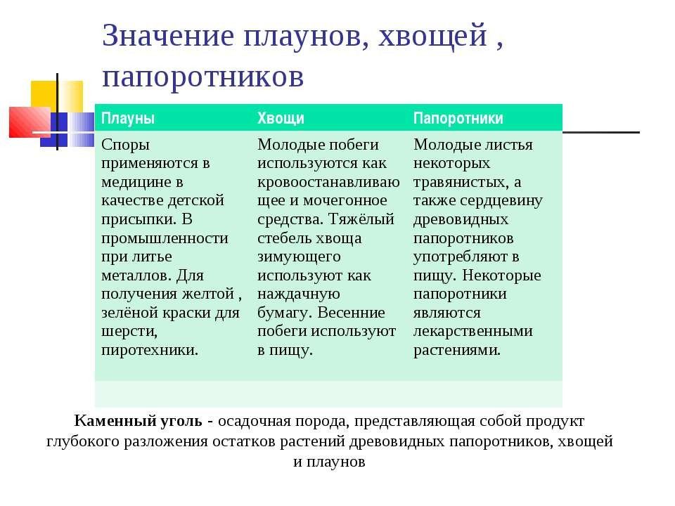 Сравнительная характеристика плаунов хвощей и папоротников