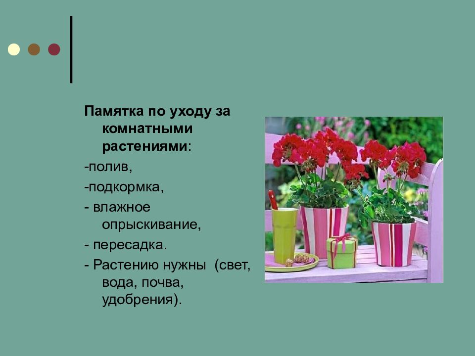 Стихи поливаем цветы. Памятка по уходу за комнатными растениями. Стих о поливе цветов. Памятка по уходу за комнатными цветами. Поливать цветы стихи.