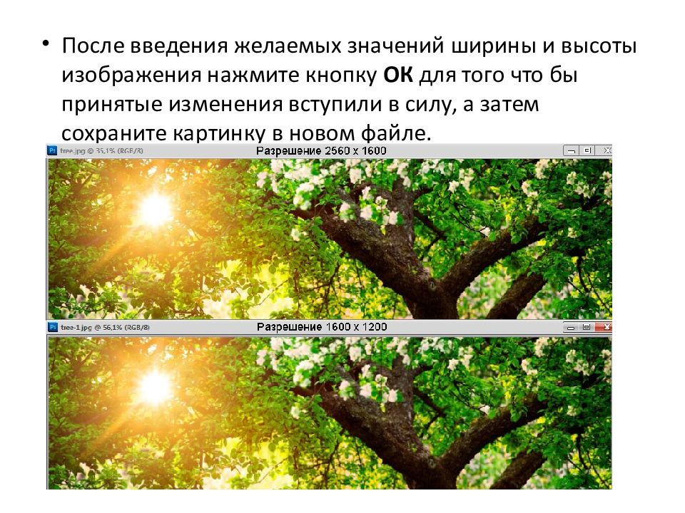 Назначение и основные возможности программы Adobe Photoshop