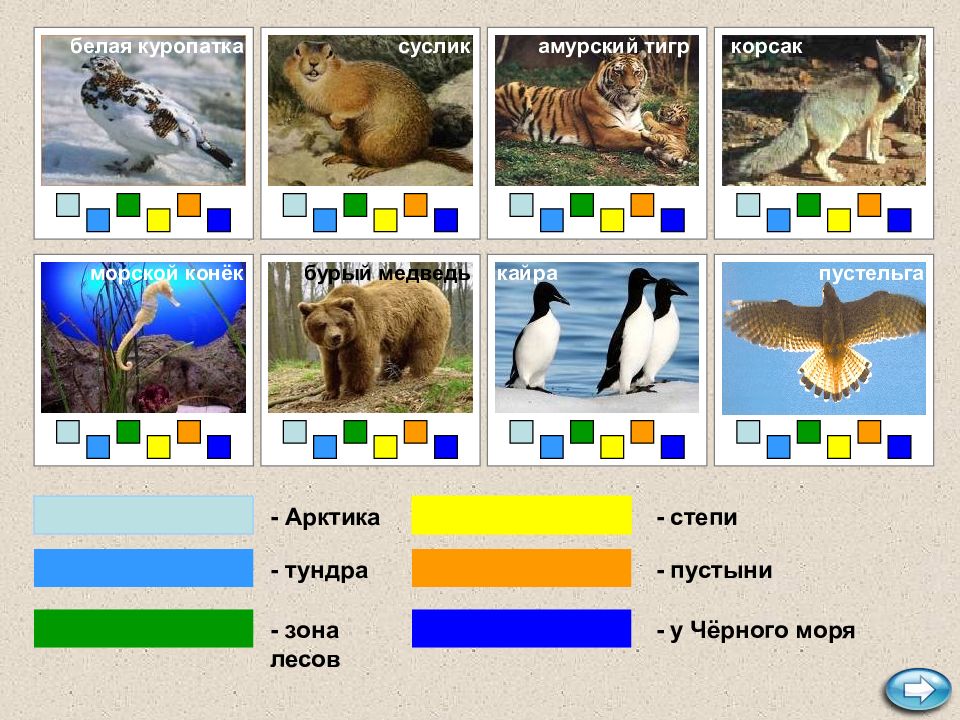 Своя игра природные зоны россии 4 класс презентация