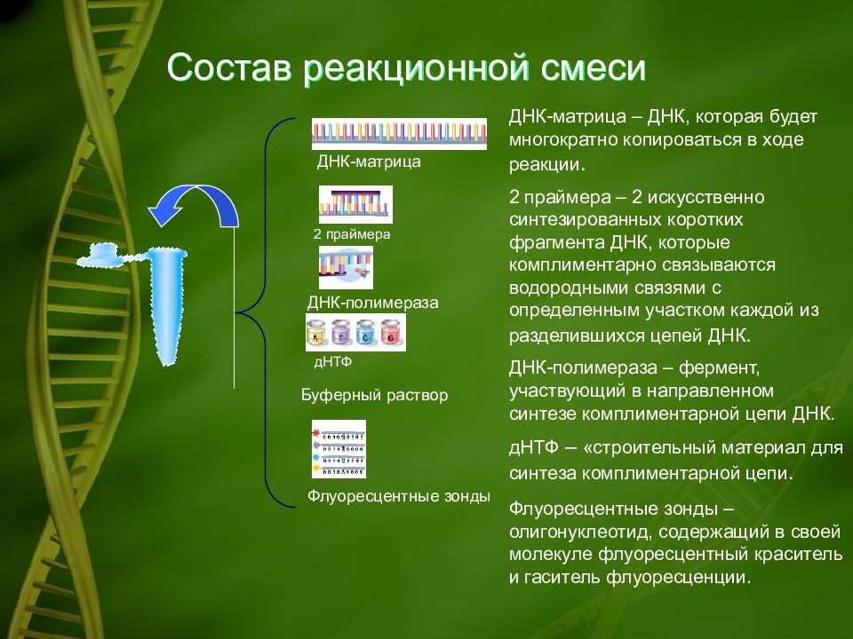 Презентация днк бренда