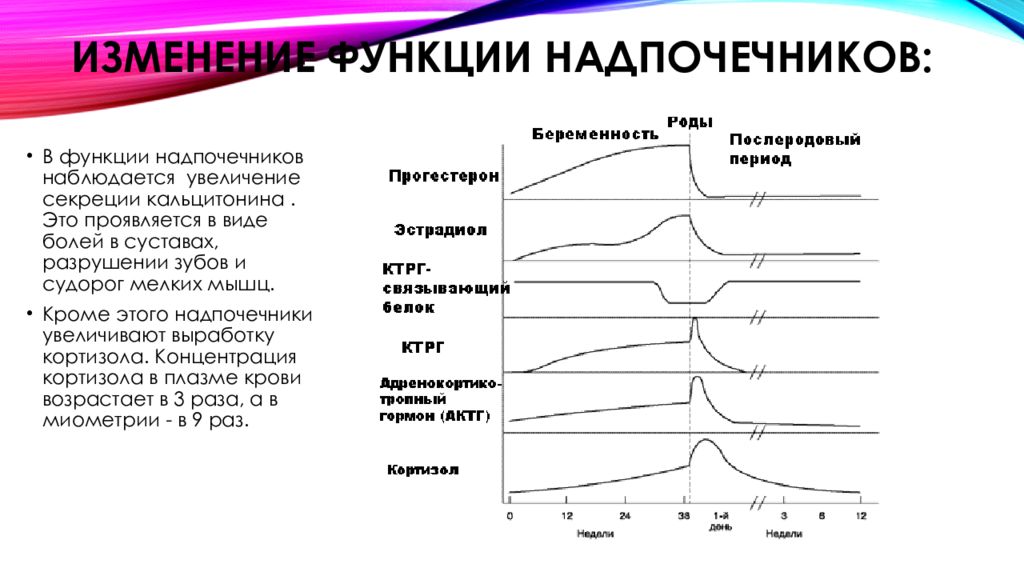 Изменение функции. Надпочечники функции. Надпочечники функции в организме женщины. Зоны надпочечников и гормоны.