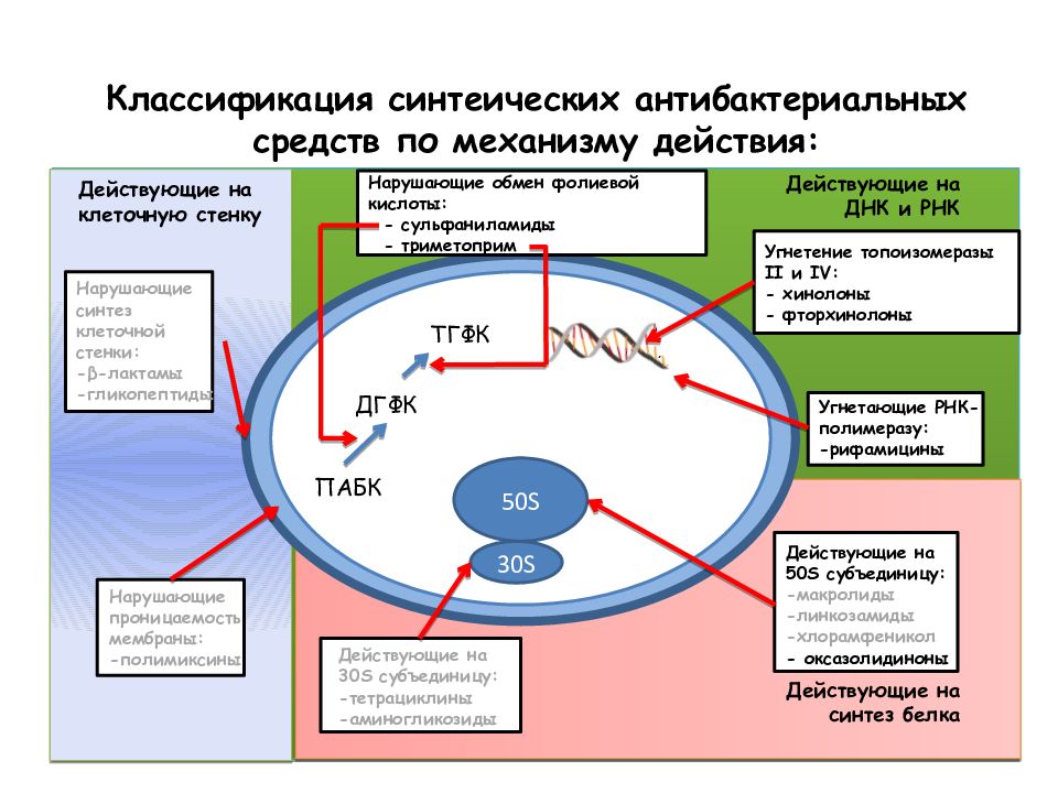 Синтетические антибактериальные средства фармакология презентация