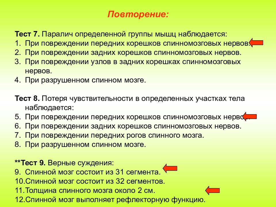 Вещества тест. Белое вещество мозга образовано. Серое вещество спинного мозга образовано. Чем образовано серое и белое вещество спинного мозга. Серое вещество мозга образовано.