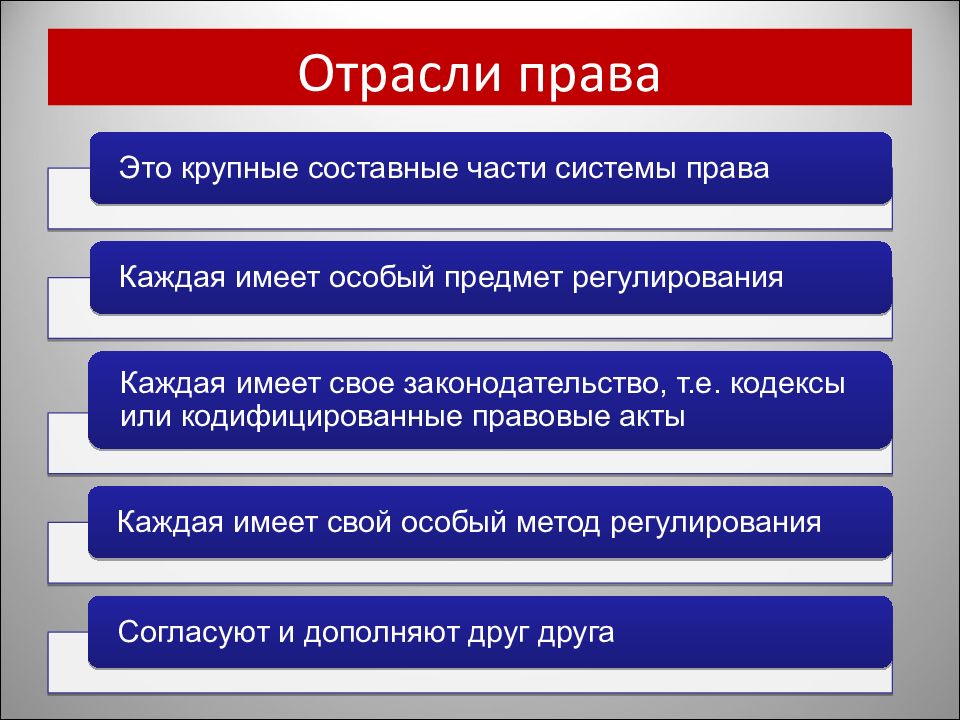 Презентация отрасли российского права обществознание