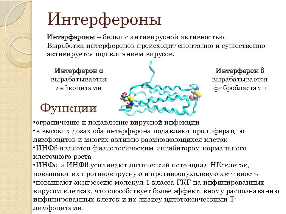 Выработка интерферонов. Интерфероны это белки с противовирусными. Интерферон белок функция. Белки интерфероны функции. Интерферон функция белка.