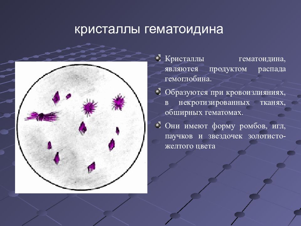 Микроскопия мокроты в картинках с описанием