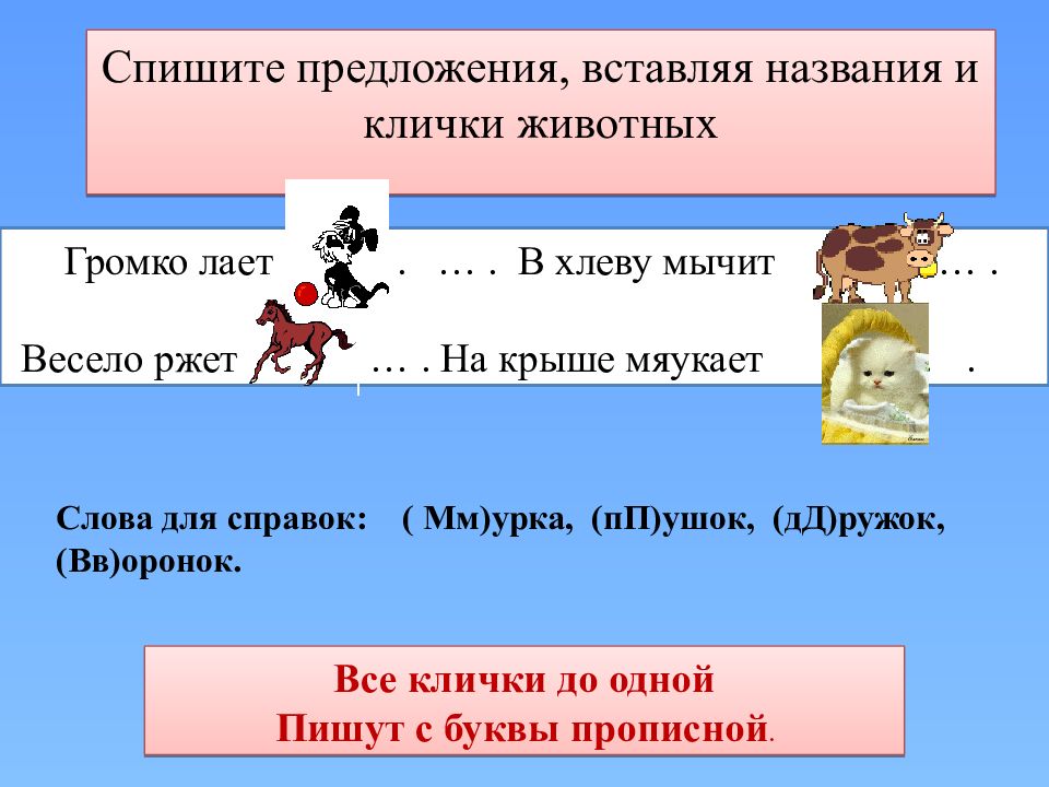 Образец поведения индивидуума которое общество признает рациональным для обладателя данного статуса