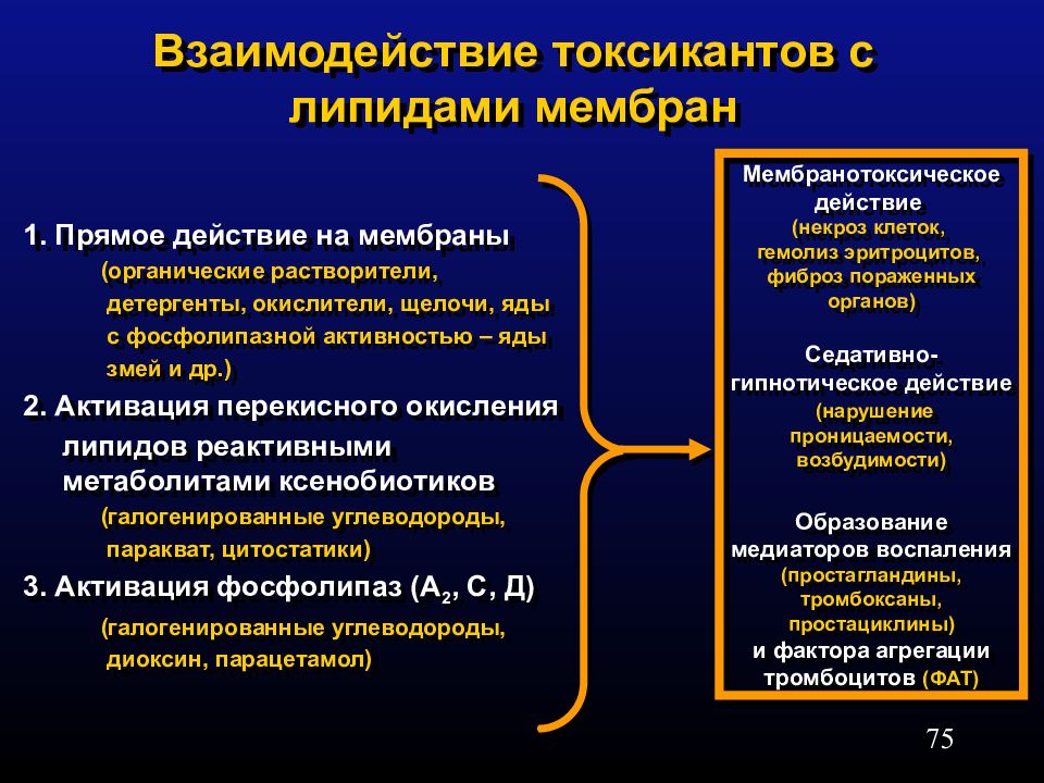 Токсиканты и аллергены в окружающей среде проект по химии