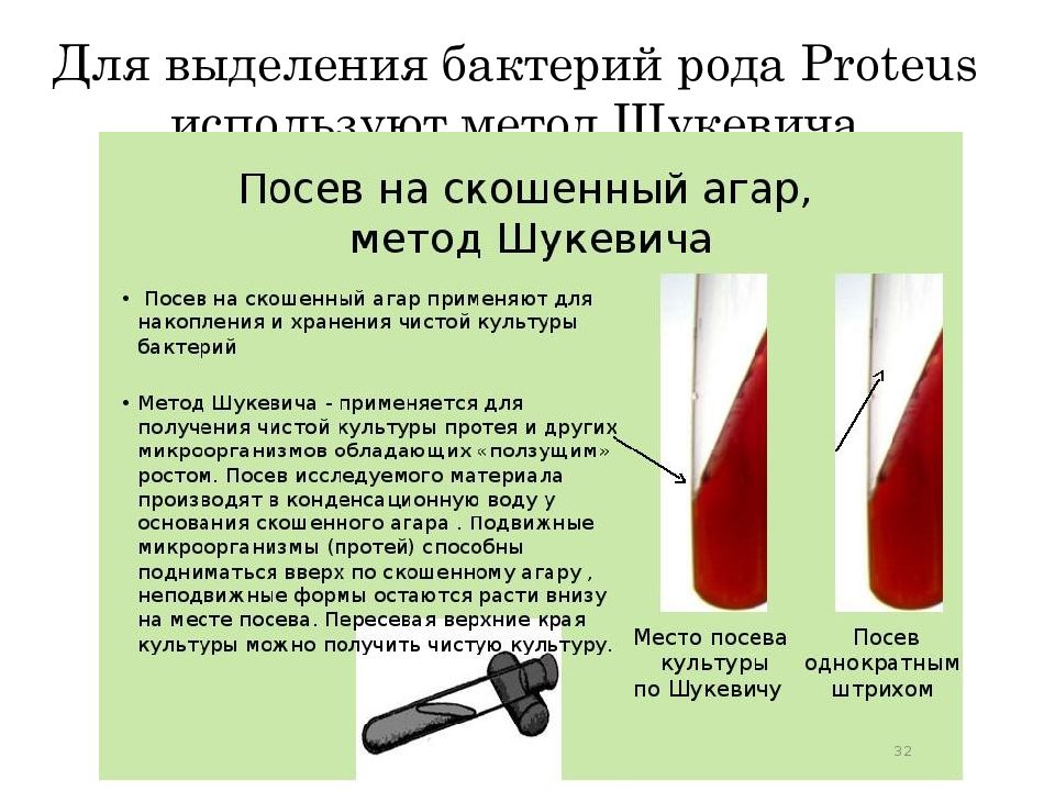 Посев определение. Метод Шукевича микробиология. Метод Шукевича используется для выделения чистой культуры. Посев по Шукевичу микробиология. Метод Шукевича выделение чистой культуры.