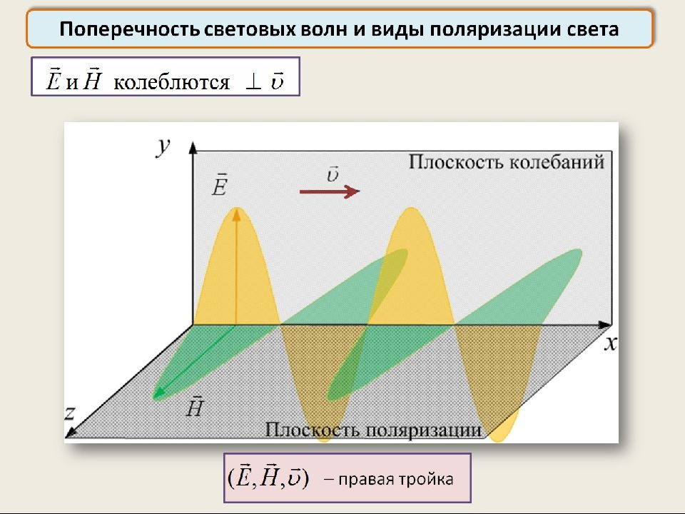 Поперечность световых волн поляризация света презентация 11 класс