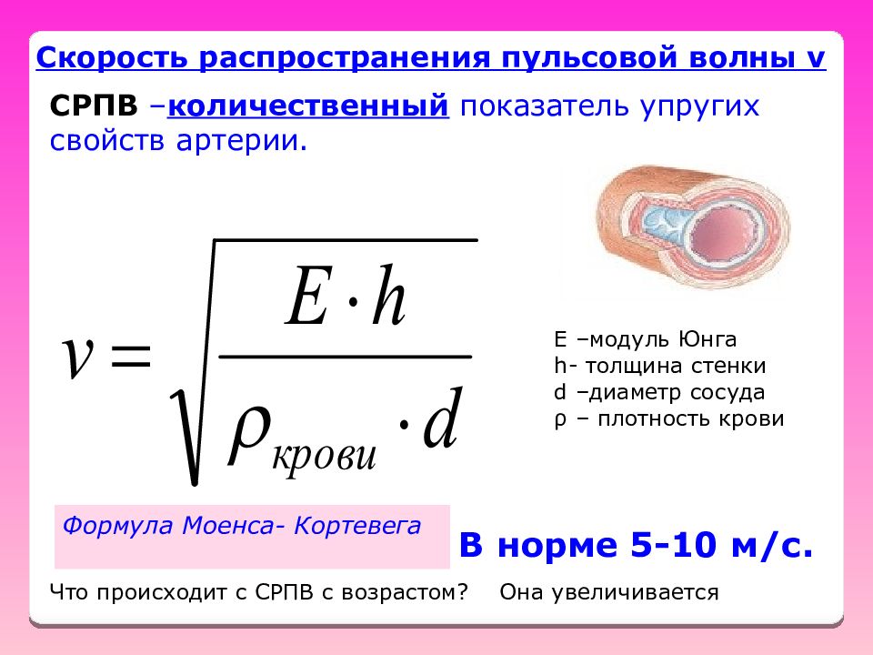 Скорость плотность. Формула модули упругости артерии. Скорость пульсовой волны формула. Механическое напряжение стенки кровеносного сосуда. Скорость распространения пульсовой волны Моенса Кортевега.