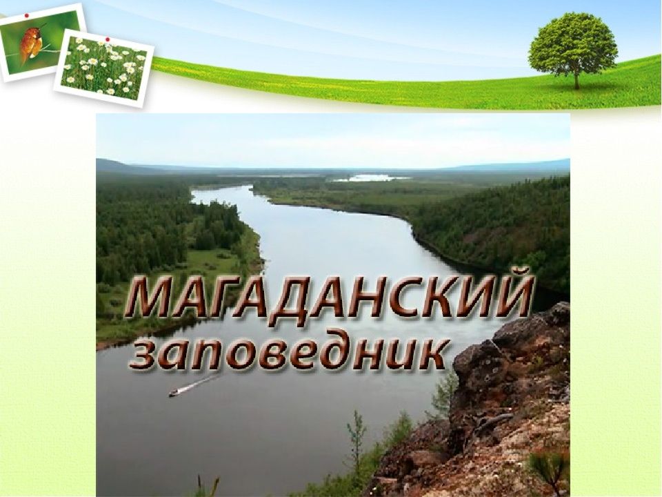 24 мая международный день заповедников презентация