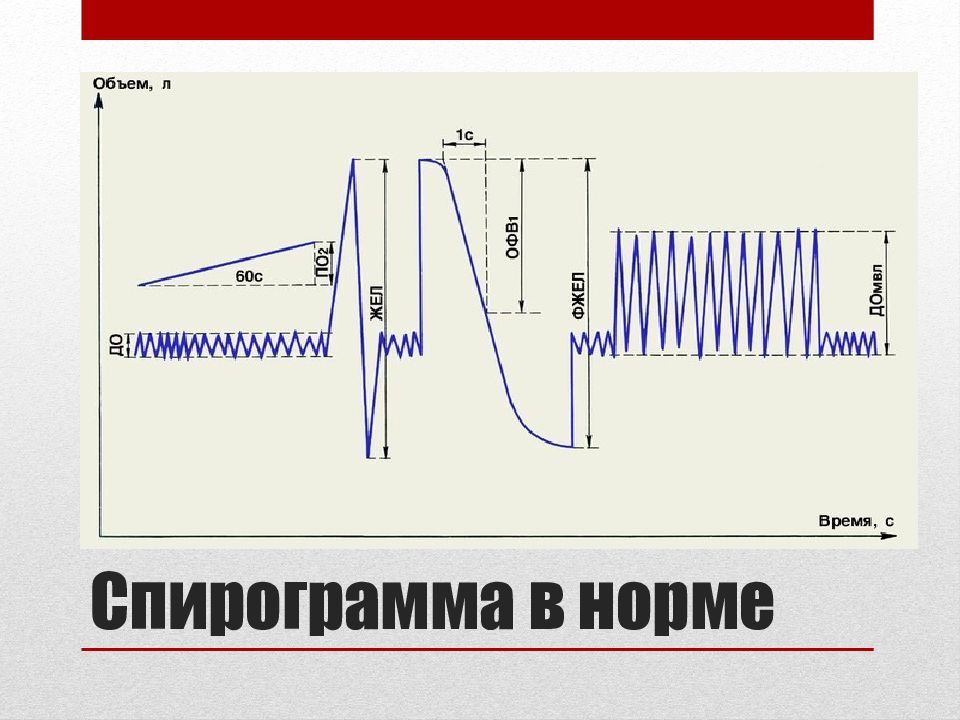 Спирограмма