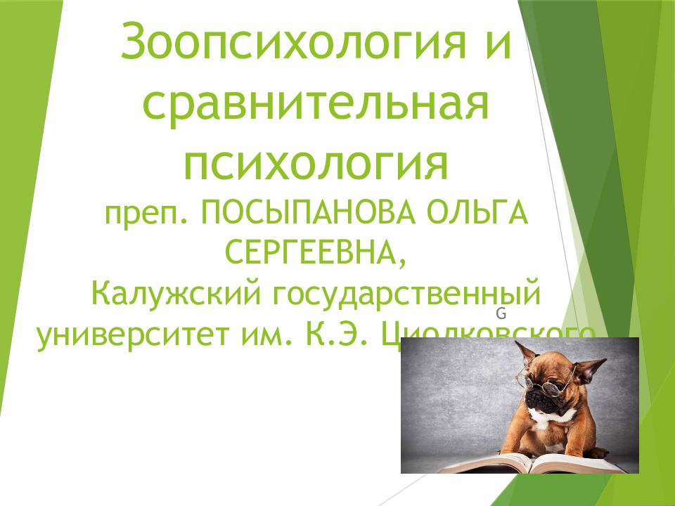 Зоопсихология. Презентация на тему зоопсихология. Объект зоопсихологии и сравнительной психологии. Зоопсихология собак презентация.