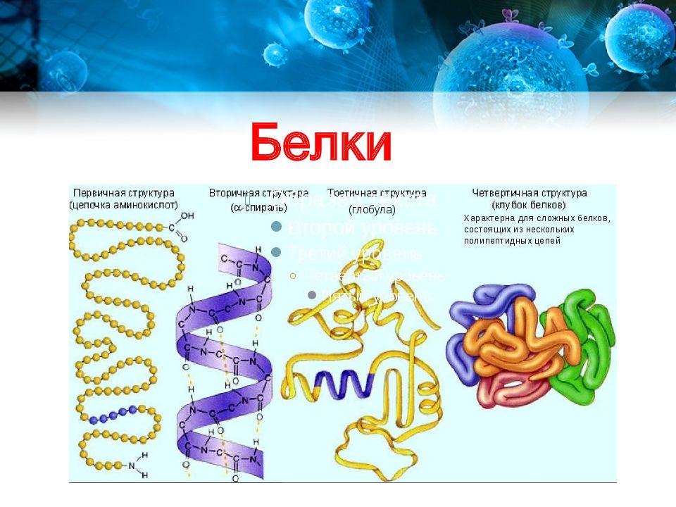 Химический состав биология. Таблица по биологии 9 класс химический состав клетки. Химические вещества клетки 5 класс биология. Химические вещества в клетке презентация. Химический состав клетки 5 класс биология.