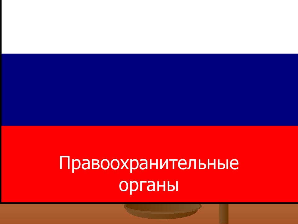 Правоохранительные органы