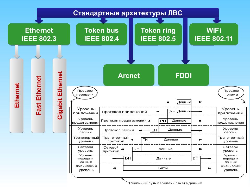 Стандарты архитектуры. Token Bus.