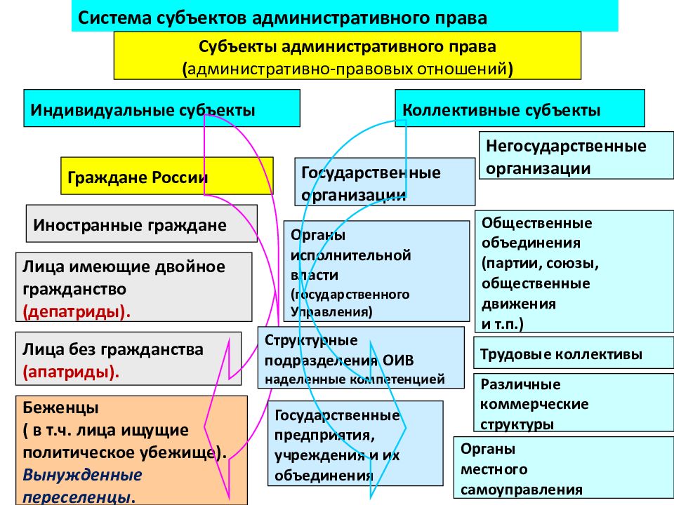 Индивидуальные субъекты административного