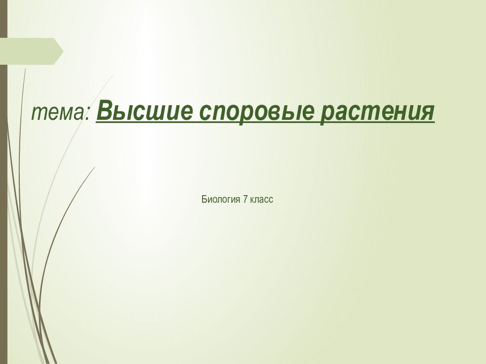 тема: Высшие споровые растения