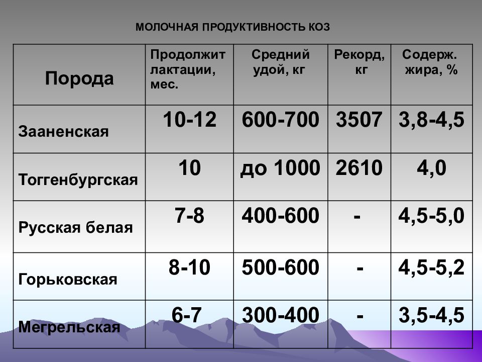 Молочная продуктивность