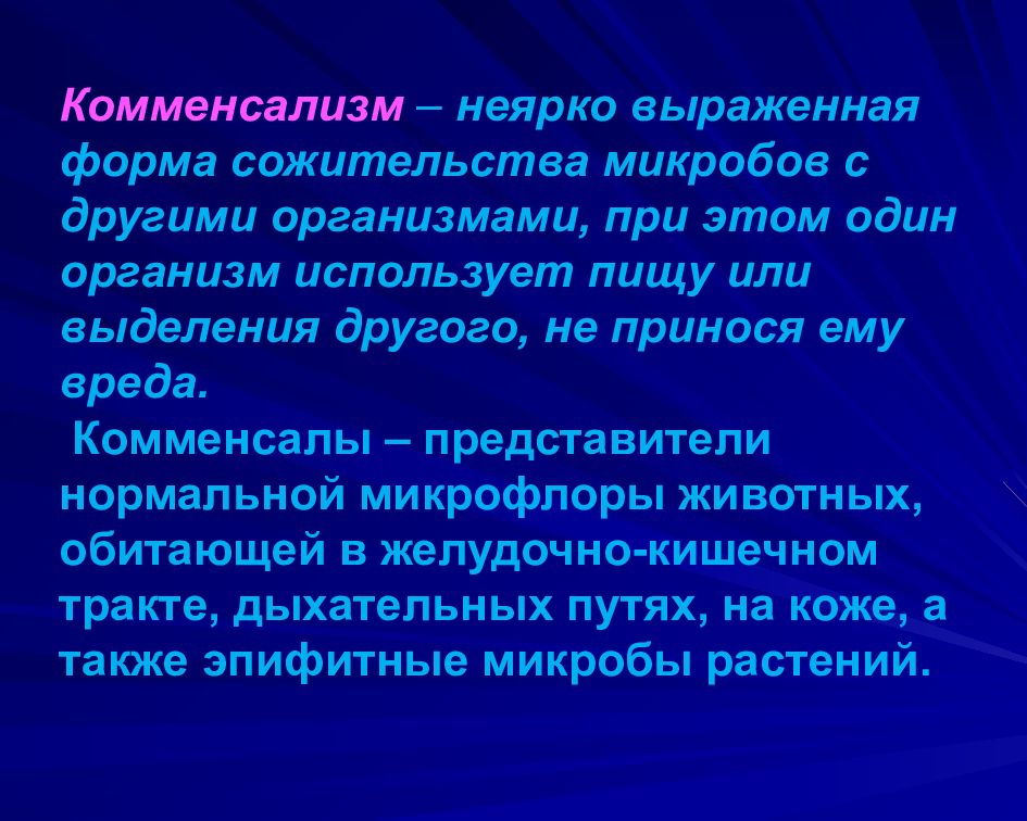 Комменсализм микроорганизмов. Комменсализм микробиология. Виды сожительства микроорганизмов. Комменсализм примеры микробиология.