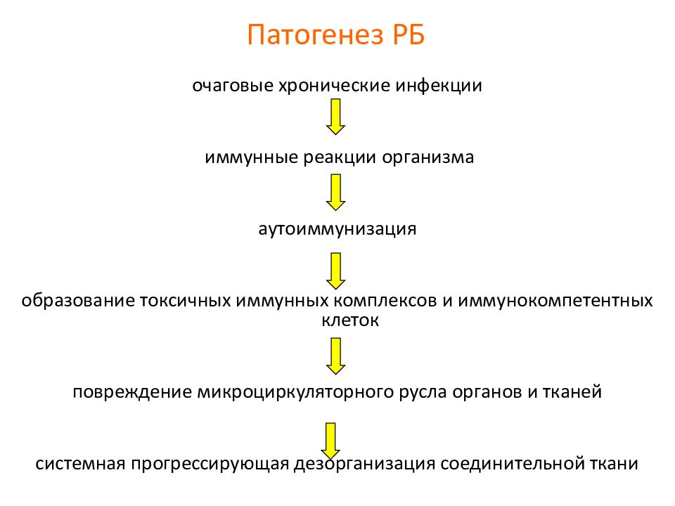 Ревматизм патогенез