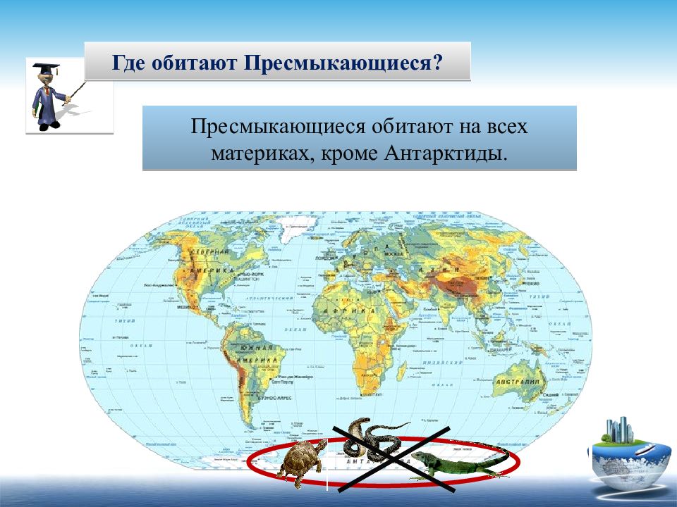 Распространение рептилий. Где обитают пресмыкающиеся карта. Распространение пресмыкающихся на карте. Пресмыкающиеся распространение. Где обитают рептилии на карте.