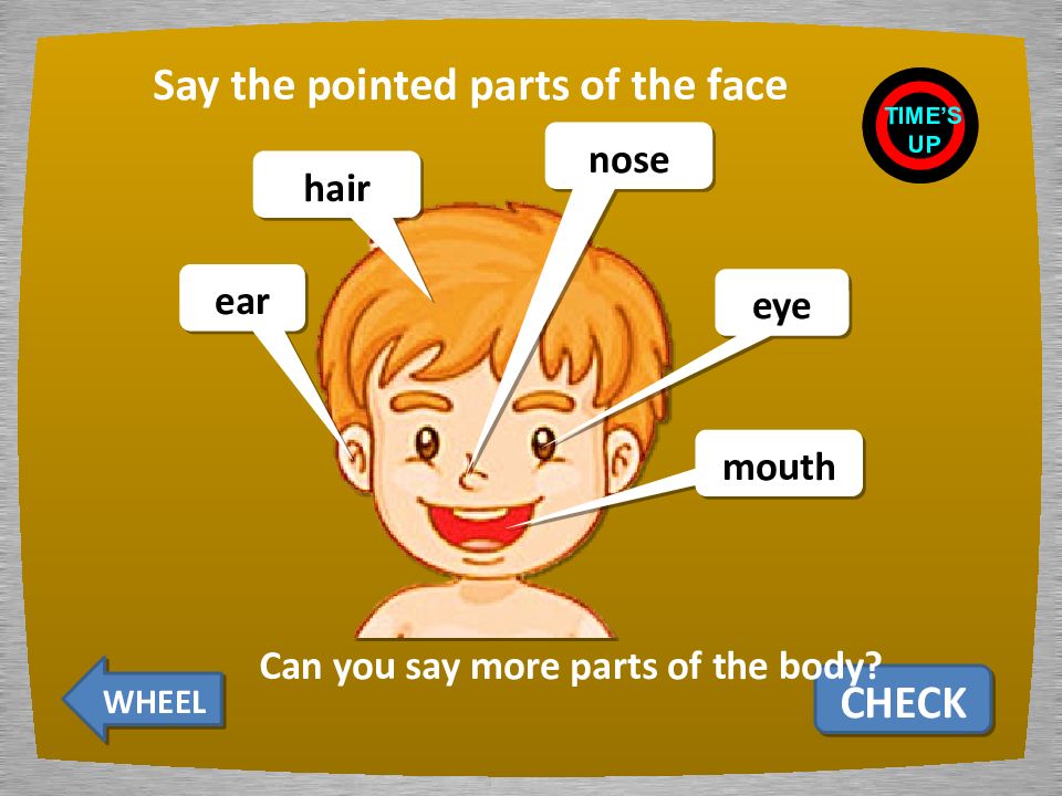 Partspoint отзывы. оил надпись запчасти. триггерные точки на теле. Solidthinking inspire уроки. Solidthinking inspire.